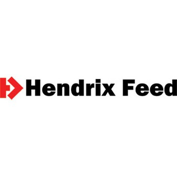 Хендрікс (Hendrix)