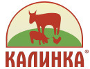 Калинка
