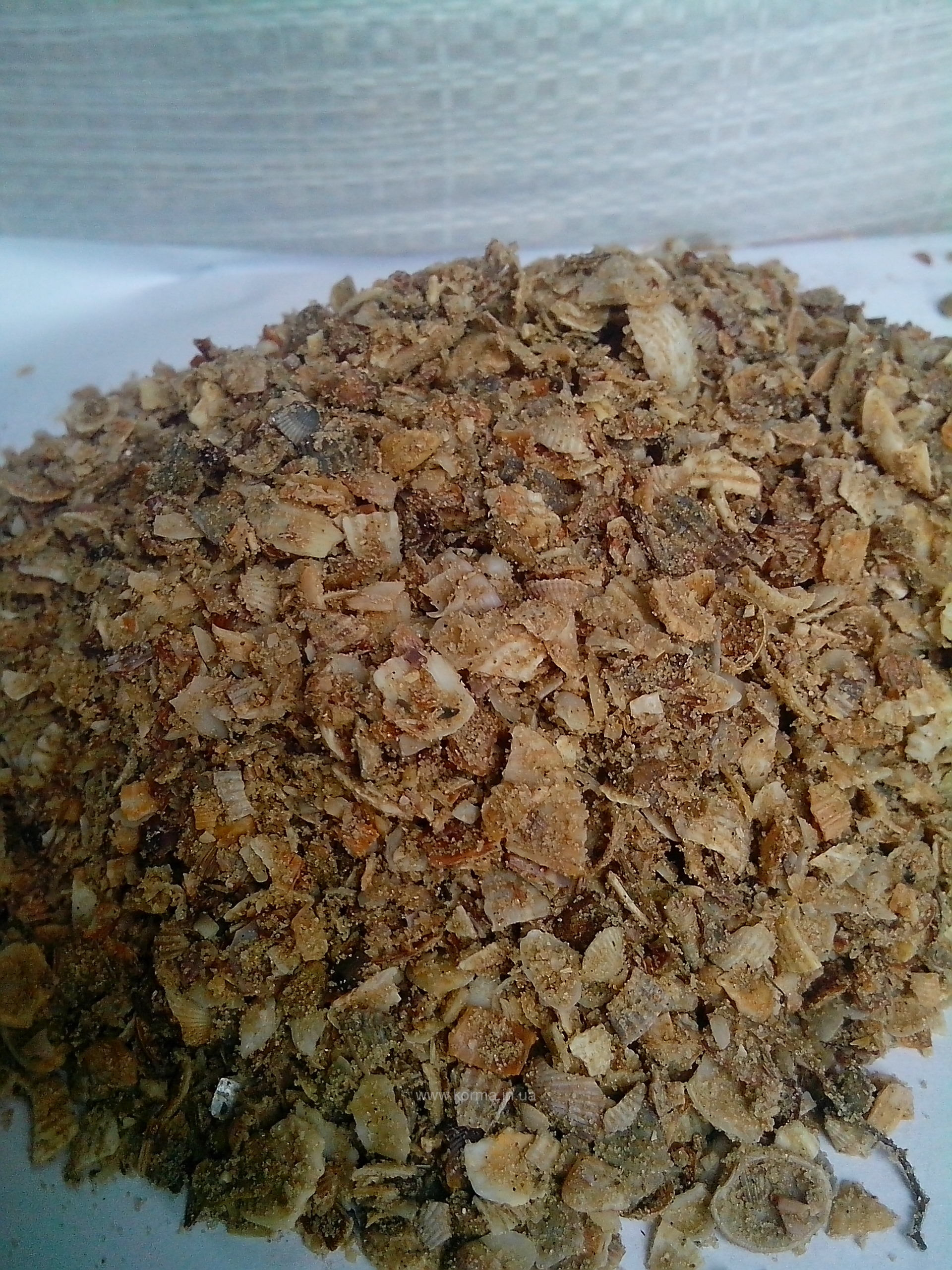 Ракушка річкова 3кг упаковка 1